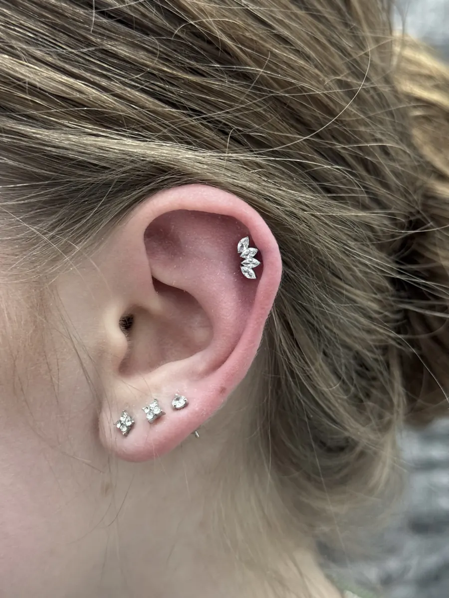 Ohrpiercings mit Schmuck aus unserem Studio – Line Tattoo Heilbronn