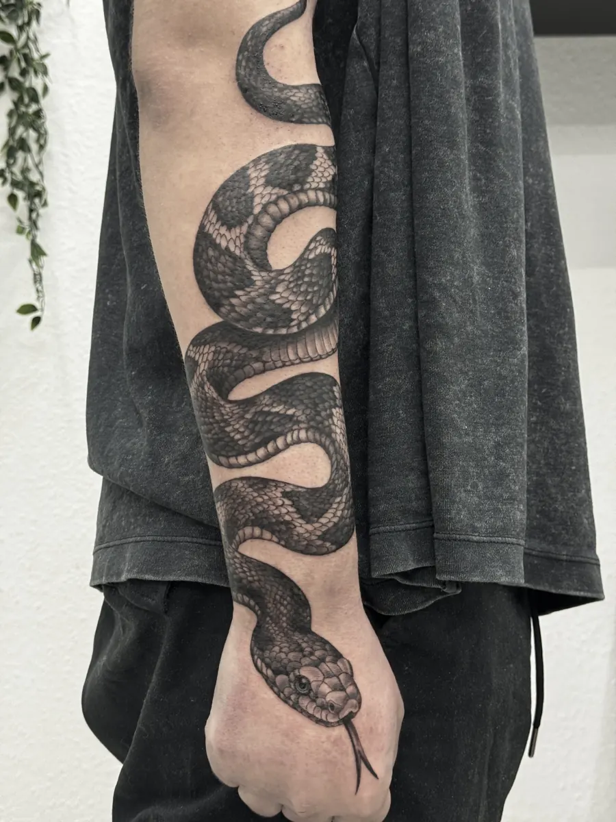 Schlangen-Tattoo am Arm – Line Tattoo Heilbronn